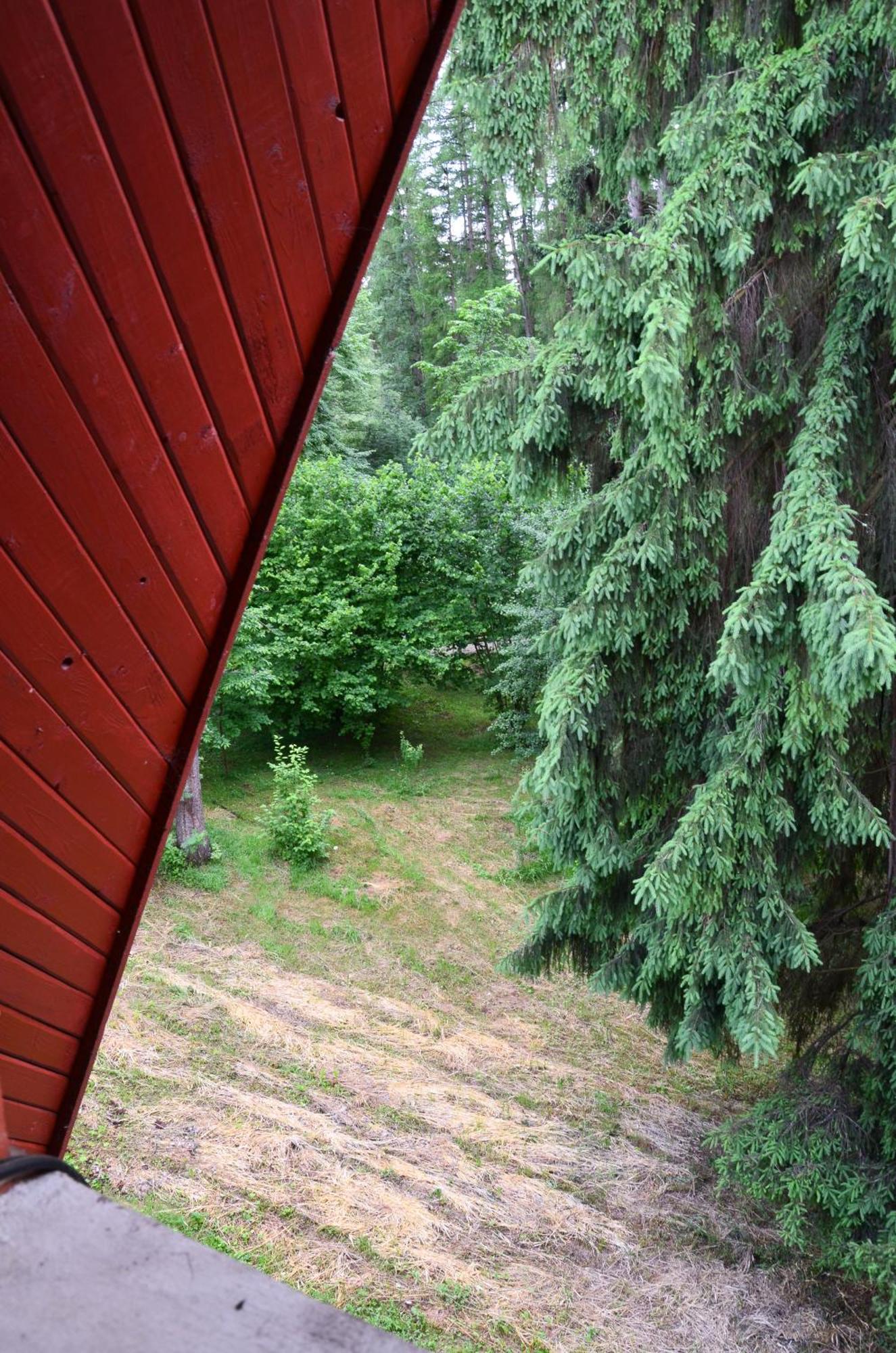 Pensiunea Happy Inn Vatra Dornei Rum bild
